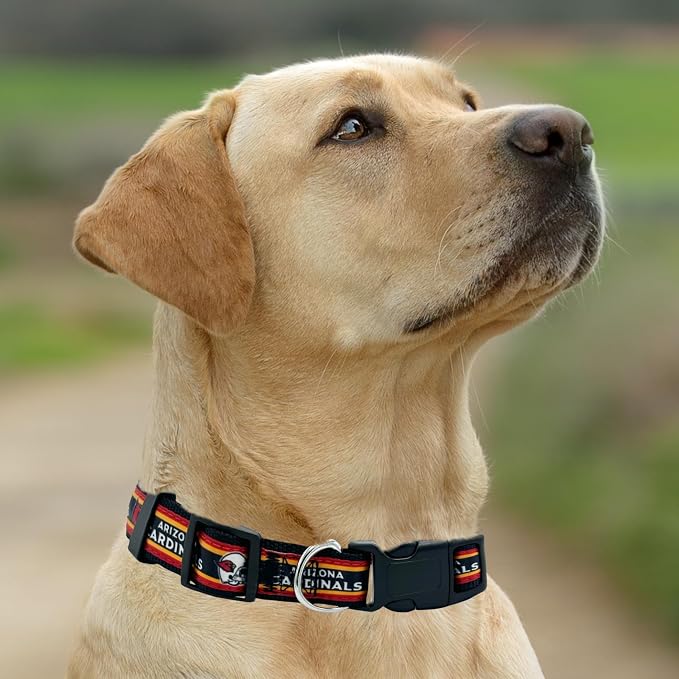 New & Improved Pets First NFL Licensed PET Collar- Heavy-Duty, and Durable New - Image 5