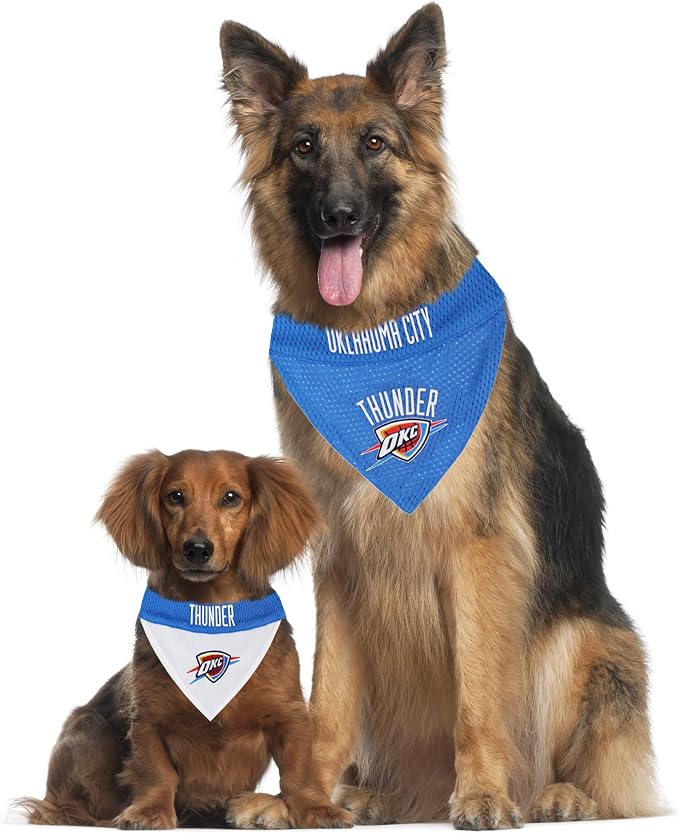 Pets First NBA Dog Bandana - Image 5