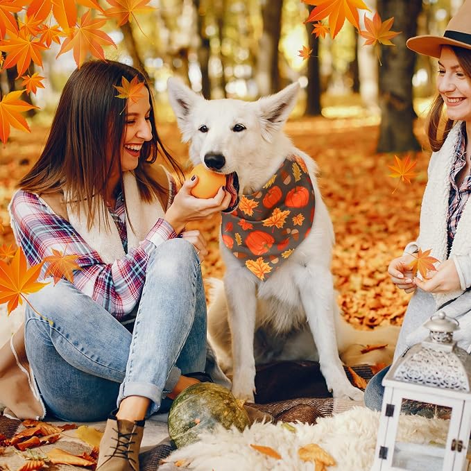 Abbylike 50 Pcs Fall Thanksgiving Dog Bandanas Bulk Pumpkin Bandanas - Image 7