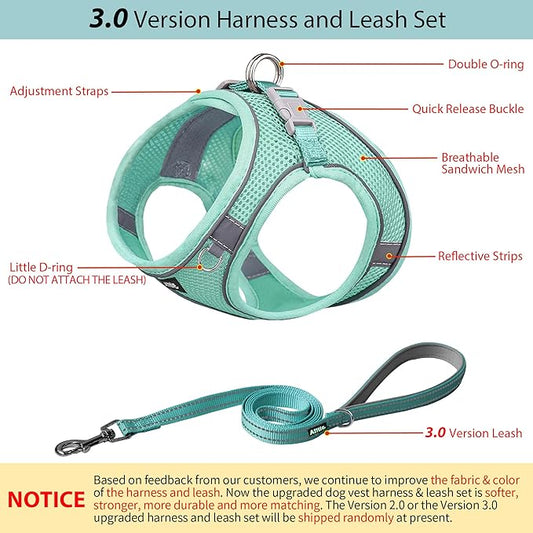 AIITLE Step in Dog Harness and Leash Set - Image 2