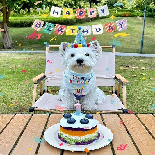 Pet Birthday Party Set with Hat and Bandana - Image 2