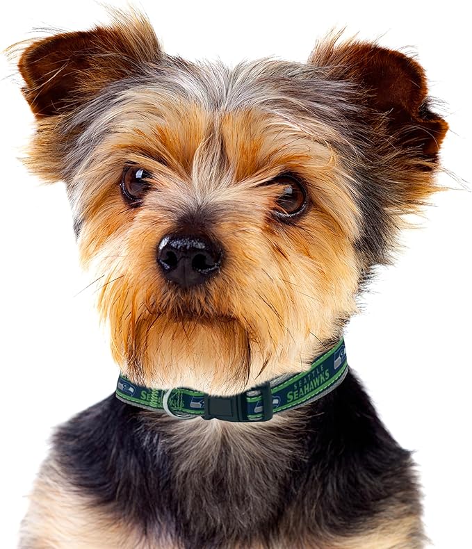 Pets First NFL Seattle Seahawks Licensed PET COLLAR, Medium - Image 5