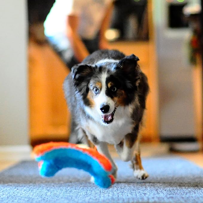 Chuckit! Indoor Fetch Squirrel Toy - Image 7