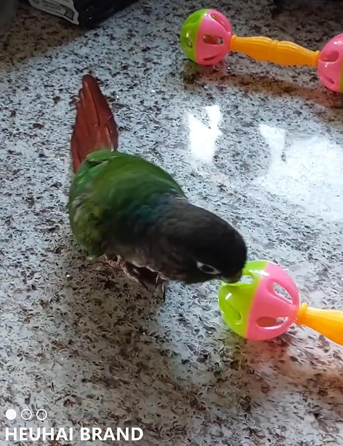 22-Pack Bird Toys for Parakeets & Small Birds – Colorful Cage Fun - Image 9