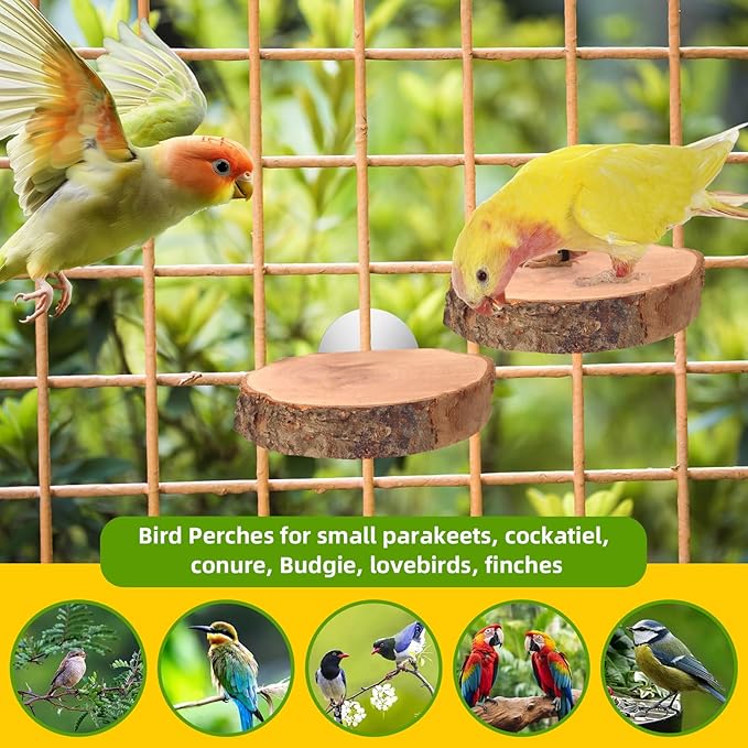 4PCS Natural Wood Round Bird Perch Platform - Image 7