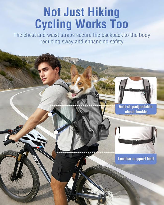 Dog Backpack for Small & Medium Dogs – 4-Layer Safety Pet Carrier - Image 2