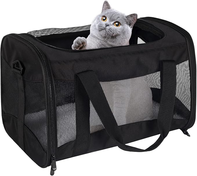Cat Carrying Case - Image 7
