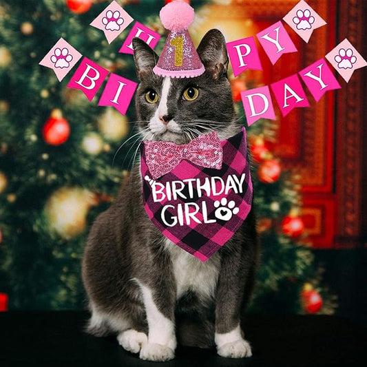 STMK Cat Birthday Decorations, Cat Birthday Hat - Image 2