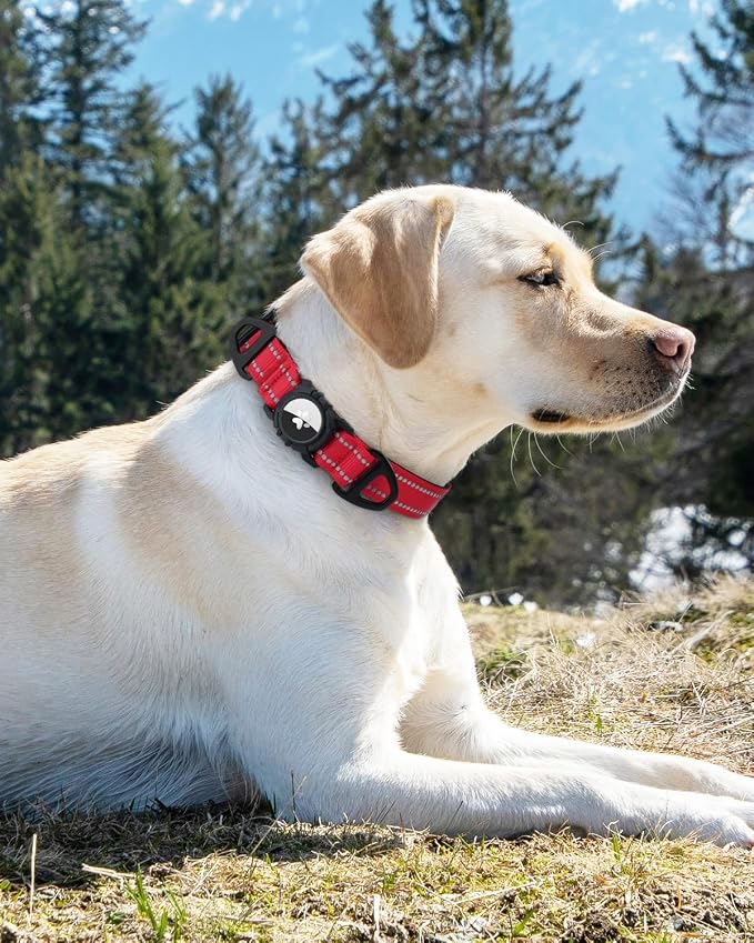Joytale Airtag Dog Collar, Reflective Pet Collar - Image 8