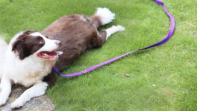 AMAGOOD Dog/Puppy Obedience Recall Training Agility Lead-15 ft 20 ft 30 ft 50 - Image 7