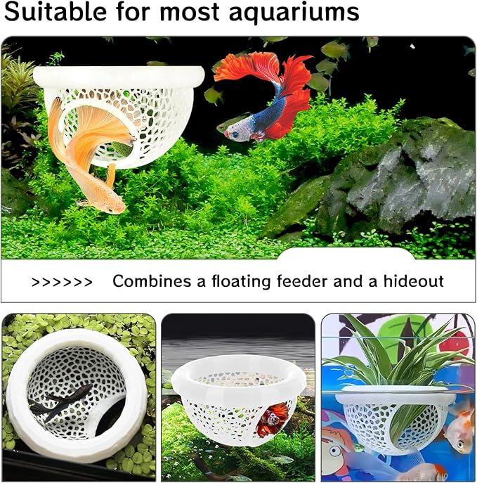 Aquarium Betta Fish Feeding Station, Floating Ring - Image 6
