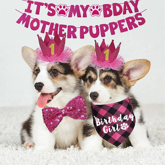 Dog Birthday Decorations - Image 2