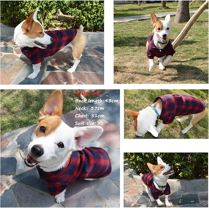 Koneseve Dog Shirt - Image 6