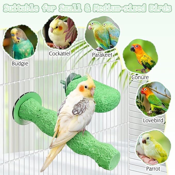 PINVNBY 5 Pack Bird Perch Resin Bird Beak Grinding Stone Parrot Cage Stand - Image 7