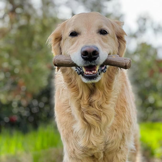 Nylabone Real Wood Stick Toy Strong Chew Toy - Image 2