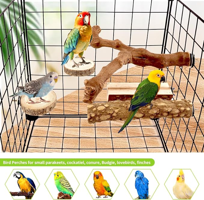 8PCS Natural Grape Wood Bird Perch Set - Image 7