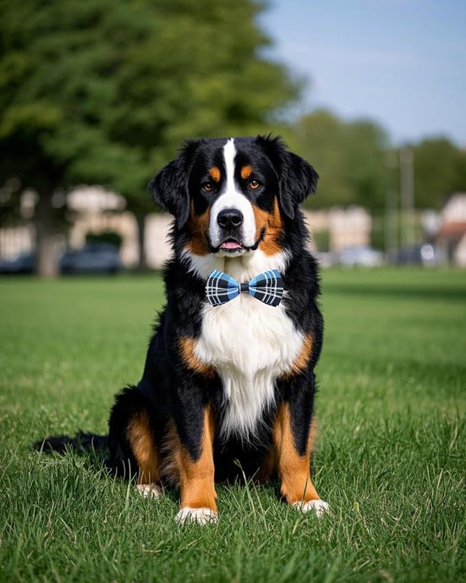 PET SHOW 8 Pack Plaid Big Dogs Collar Bow Ties - Image 7