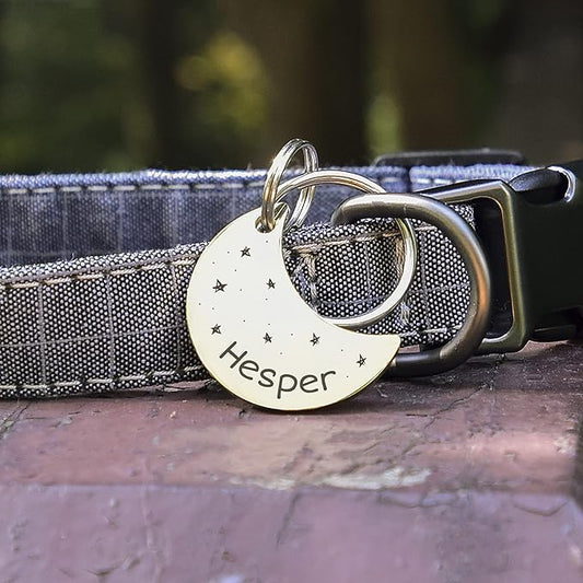 Anavia Small Size Dog Cat ID Tags, Small/XS Personalized Color Plated Stainless - Image 2