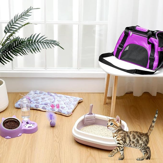 Eccliy Kitten Starter Kit, Pet Toy, Folding Carrier, Climbing Frame, Automatic - Image 2