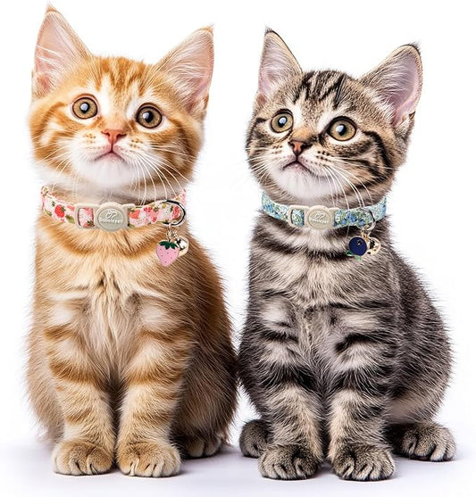 2 Pack Spring Summer Cat Collars - Image 2