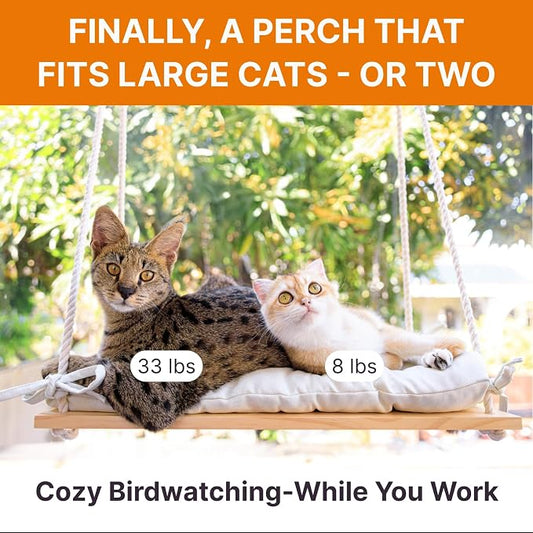 Large Cat Window Perch with Industrial-Grade Suction Cups – Solid Pine Wood - Image 2