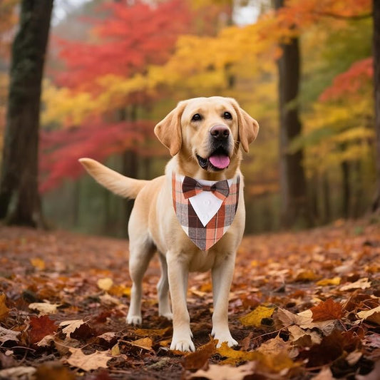 ADOGGYGO Fall Dog Tuxedo Bandana, Adjustable Halloween Thanksgiving Costume - Image 2
