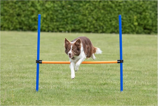 TRIXIE Agility Hurdle Adjustable Dog Jump, Dog Obstacle Course Equipment 1 x - Image 2