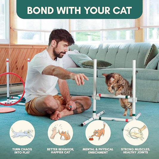 ALBERT & MIA CATGILITY Cat Agility Equipment + Clicker Trainer Guide – Exercise - Image 2