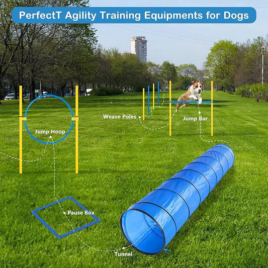 RAIN QUEEN Dog Agility Course Backyard Set - Image 2