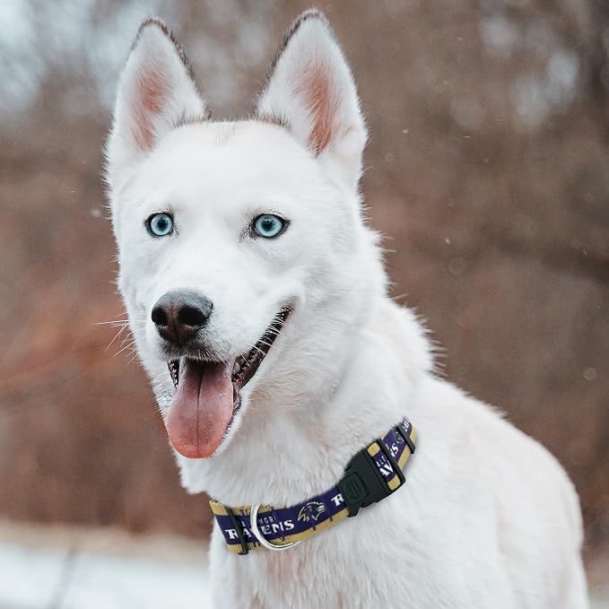 New & Improved Pets First NFL Licensed PET Collar- Heavy-Duty, and Durable New - Image 5
