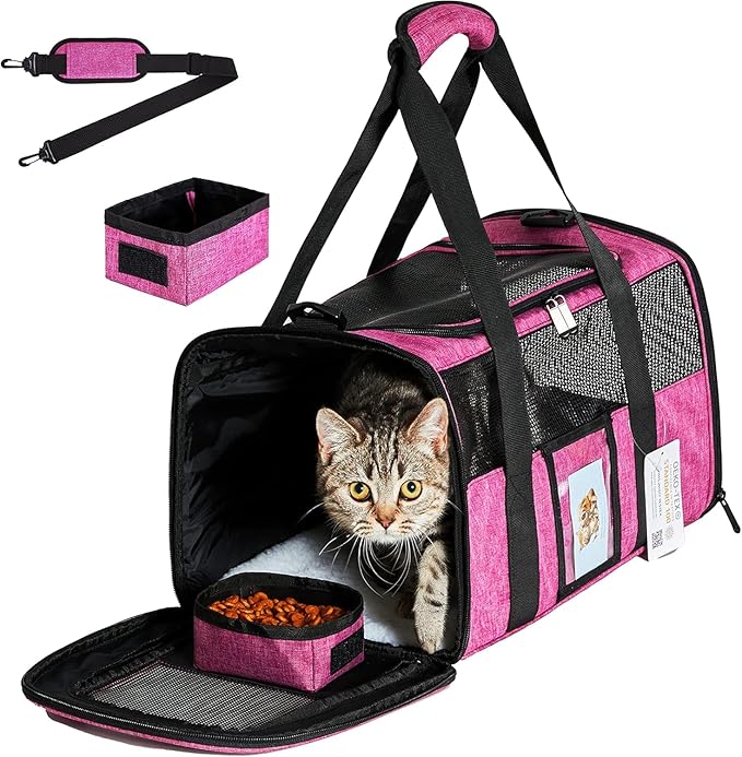 Cat Carrier for Large Cats 20 lbs, Medium Pet Under 25 lbs, 2 Puppy and Small by CUSSIOU