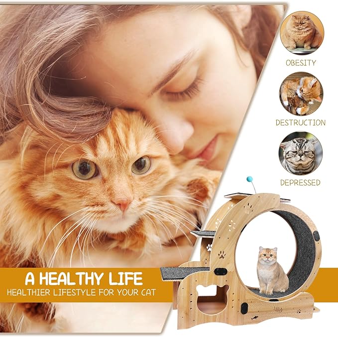 Cat Running Wheel, Cat Treadmill - Image 9