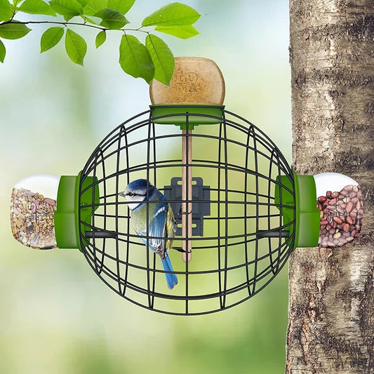LONA Squirrel Proof Bird Feeding Cage - Image 2