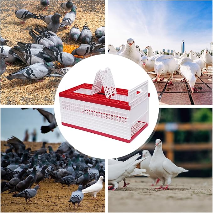 Plastic Foldable Pigeon Carrier Cage, Racing Pigeon Carrier Box - Image 7