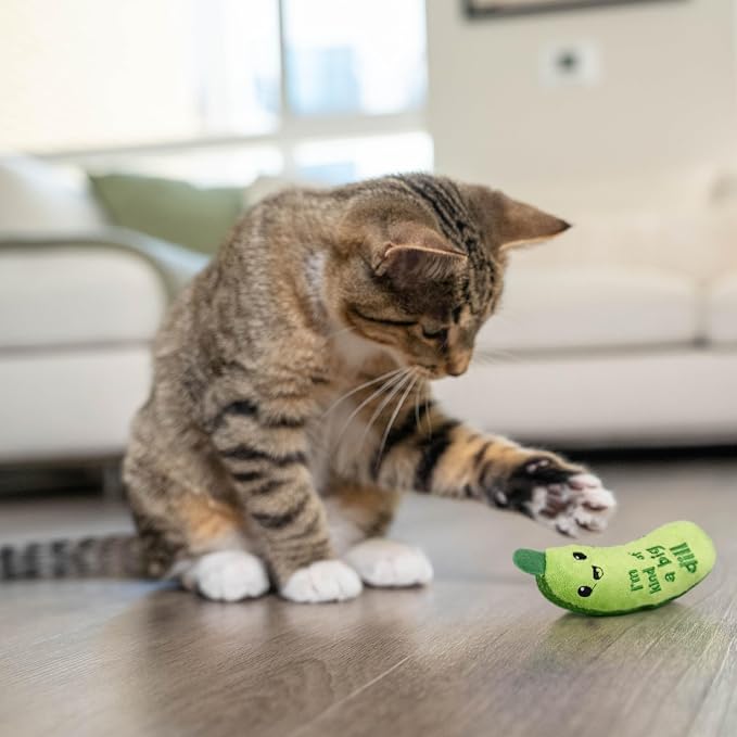 Catstages Crunchy Pickle Kicker Cat Toy – Plush Crinkle Toy - Image 10