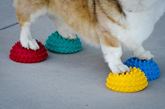 FitPAWS Paw Pods for Dog Agility - Image 2