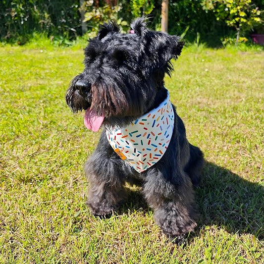 Birthday Dog Bandanas Medium Large, Colorful Sprinkle Stripes, Reversible Soft - Image 2