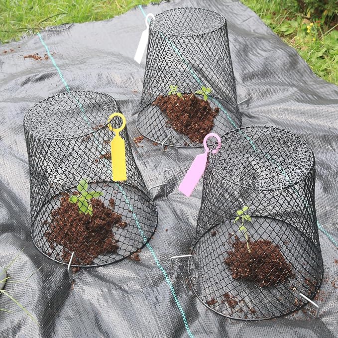 Anothera 20Pcs Chicken Wire Cloche Plant Covers, 9.2×9.2 Inches Plant - Image 6