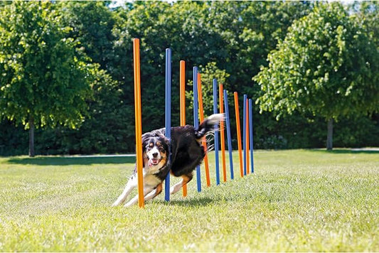 Trixie Dog Agility Slalom Course - Image 2