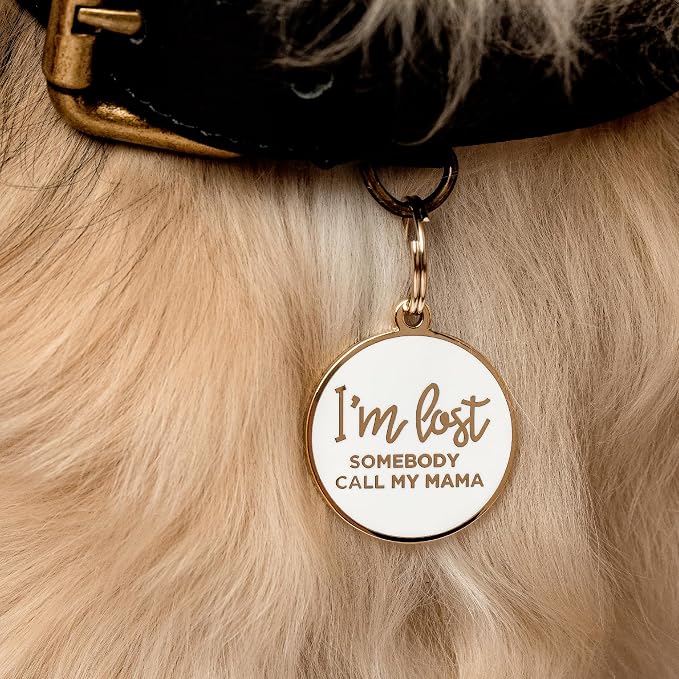 Two Tails Pet Company Dog Tags Personalized “I'm Lost, Somebody Call My Mama” - Image 7