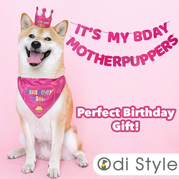 Dog Birthday Party Supplies - Image 6