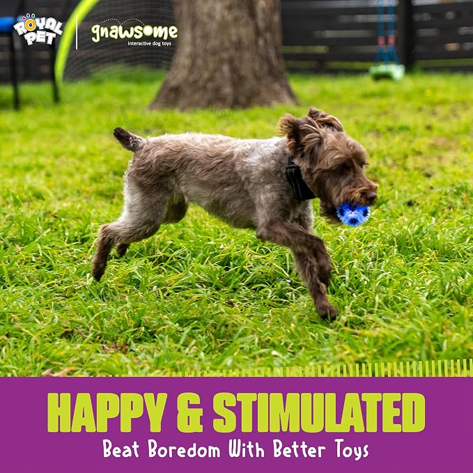 Gnawsome 2.5” Squeak & Light Soccer Ball Dog Toy - Image 9