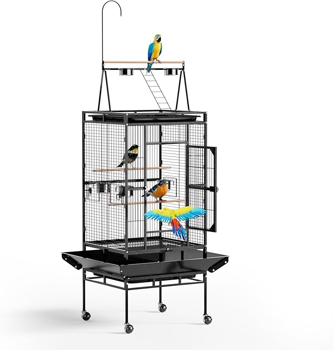 Birdcages