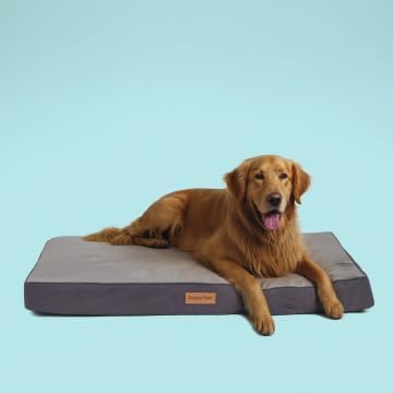 Orthopedic Memory Foam Dog Bed for Extra Large Dogs, Waterproof Lining and by SLEEPZONELIFE