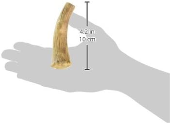Nylabone Healthy Edibles WILD Natural Dog Chew Treats - Image 3