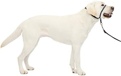 PetSafe Gentle Leader Headcollar No-Pull Dog Collar by PetSafe