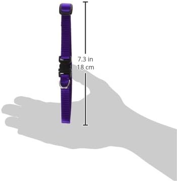 LupinePet Basics 1/2" Purple 10-16" Adjustable Collar - Image 3