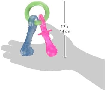 Nylabone Puppy Pacifier Chew Toy, Teething Toys - Image 3