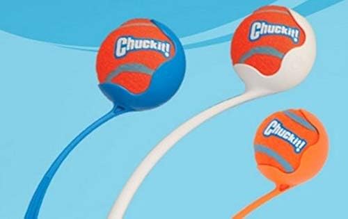 Chuckit! Dog Tennis Ball Dog Toy, Extra Large - Image 7