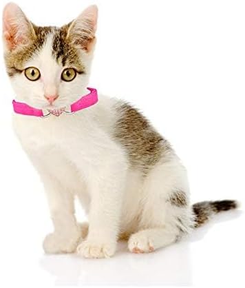 CHUKCHI Heart Bling Cat Collar - Image 6